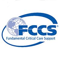 FCCS Fundamental Critical Care Support | Globe symbol inside a blue ellipse
