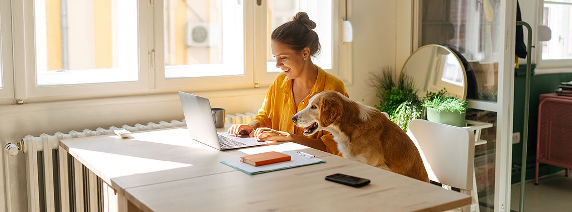Woman sitting at a table next to a dog in a chair and they're looking at a laptop