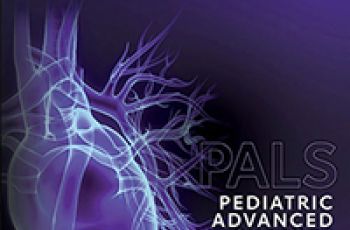 AHA Pediatric Advanced Life Support logo | purple transparent heart